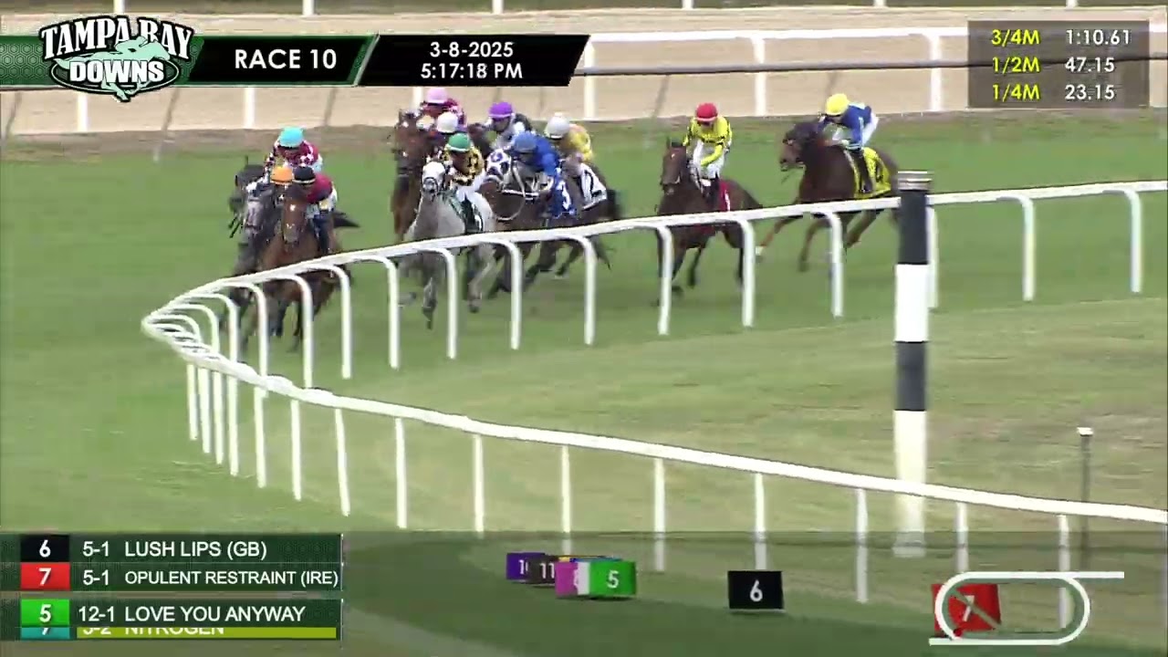 March 8, 2025   Race 10