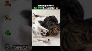 Ranking The Best Cat Wwe Compilation