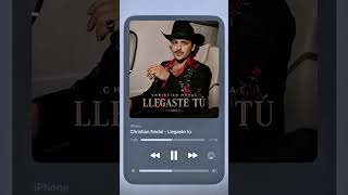 Christian Nodal - Llegaste tú