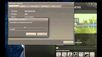 L4D2 how to get the console cheat 