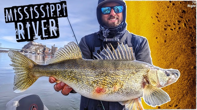 Pool 4 Mississippi River Must-Have Jigs and Plastics for Walleyes (Segment)  