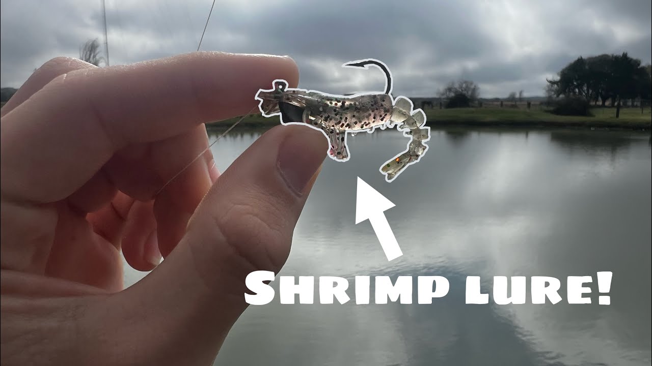 BASS FISHING with a SHRIMP LURE!