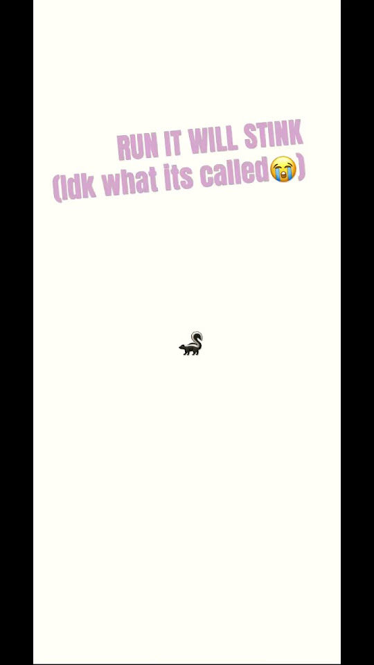 guys-i-know-what-animal-that-is-i-was-talking-about-what-it-s-called