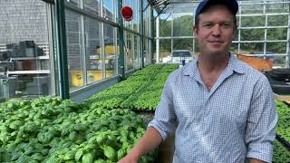 August Harvest Update from Chatham Bars Inn Farm | Chatham Bars Inn