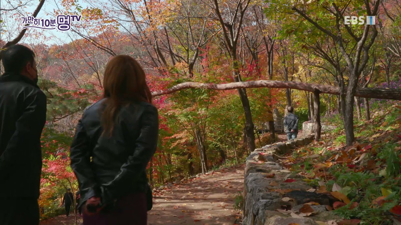 가만히, 10분 멍TV - 단풍