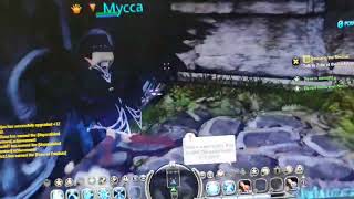 DN Classic Bug