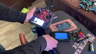 FalcoX setup on the Diatone 339 from Flight One