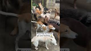 Donate Through The Link In Bio To Help