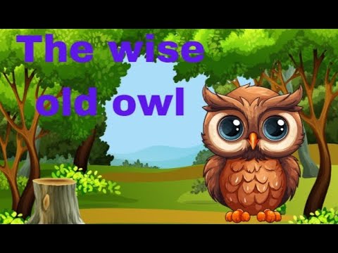 A wise old owl moral story for kids in English||Moral stories - YouTube