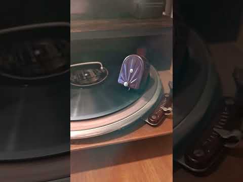 Gramofon Braun  #gramofon