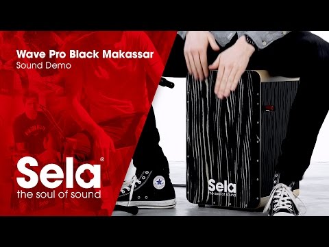 使用感はほとんどありませんSela / Wave Pro Black Makassar 【超美品】