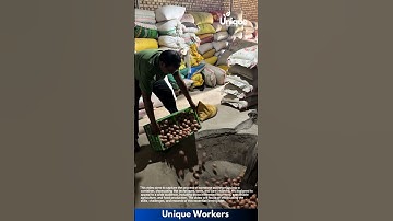 Farming for beginners: a simple guide to egg farming