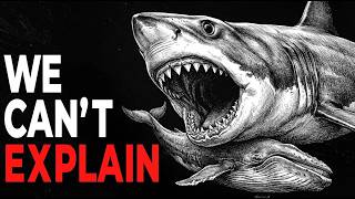 Nothing About The Megalodon is Normal Here's why.