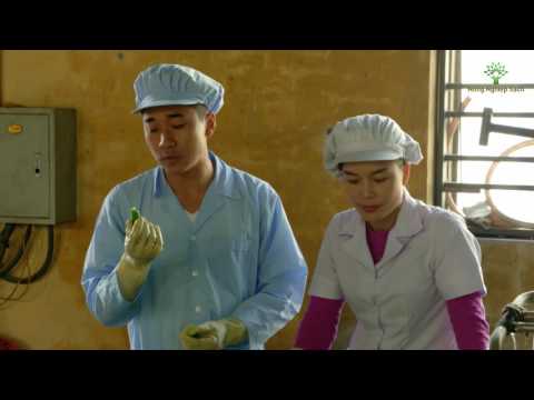 Video Nông Nghiệp Sạch Số 52 - Dưa chuột bao tử đóng hộp - youtube