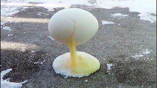 Freezing Eggs in Minnesota - Minnesota Cold (Part 24)
