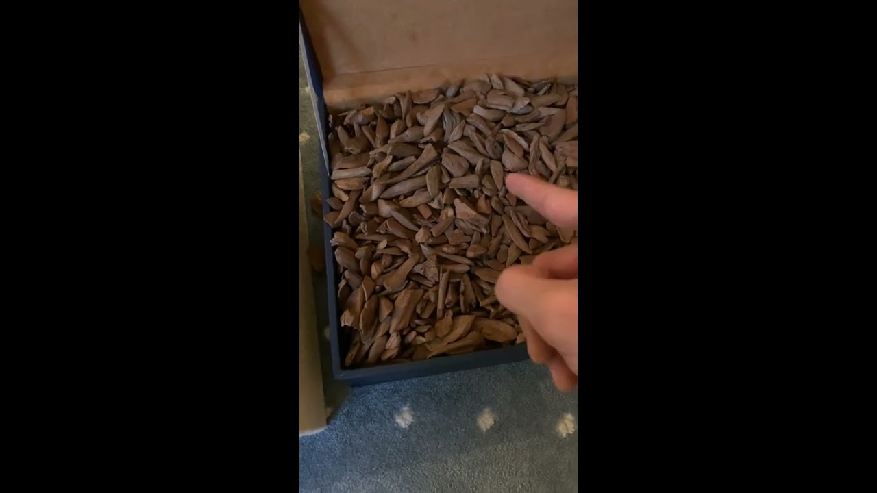 عود مروكي أصقون شرح و مقارنات في العود الطبيعي - 0566191086 - ابو سعد