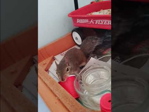 My Baby has a drinking problem 🥴🥴