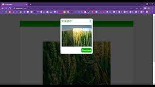 Crop Photo and Images in PHP Application Projects