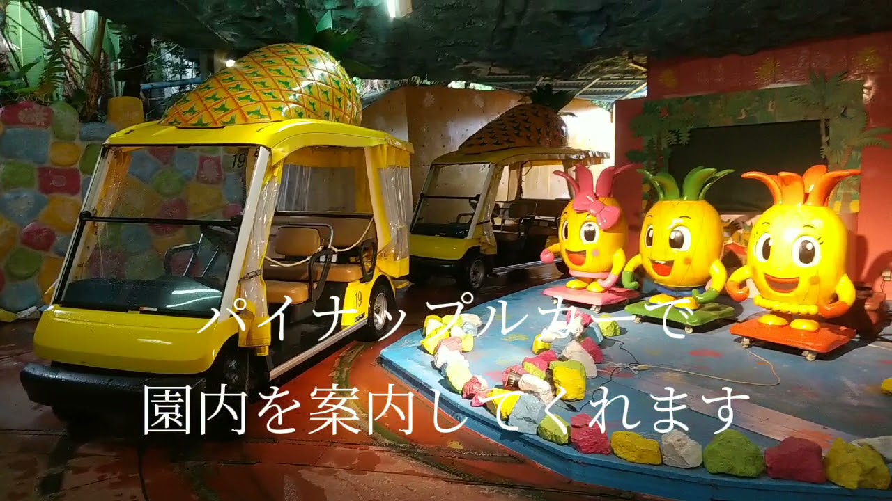 パイナップルパークからビーチへ