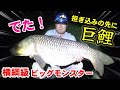 【#巨鯉ハンター】が行く！GW特別編