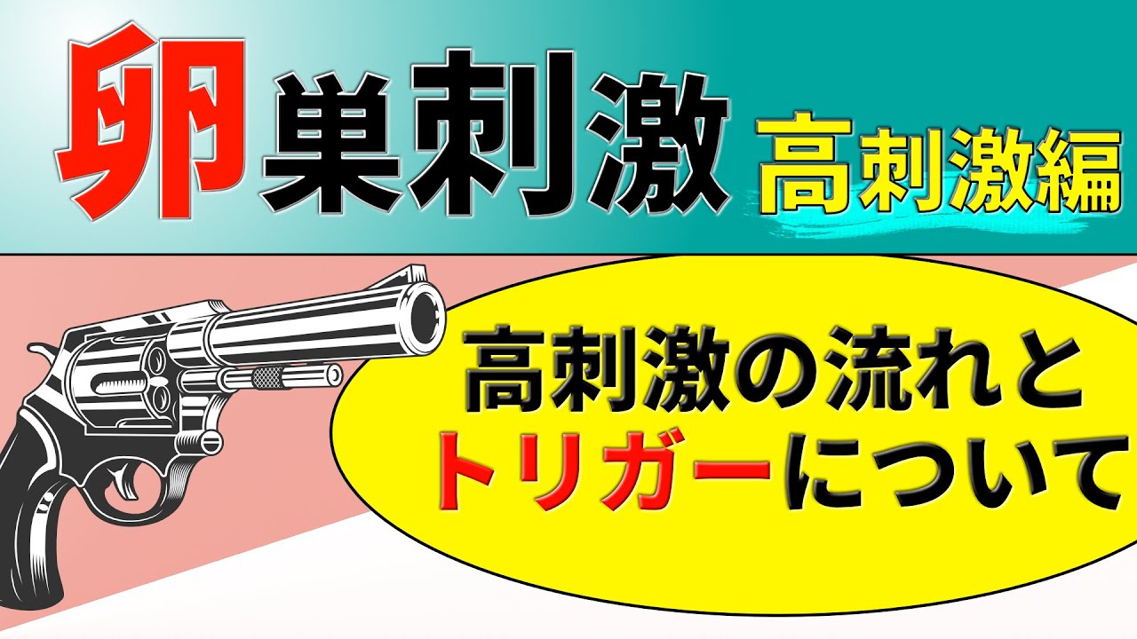 11.2【卵巣刺激・高刺激編】刺激しながら気を付けることとは？(2023.2.19版)