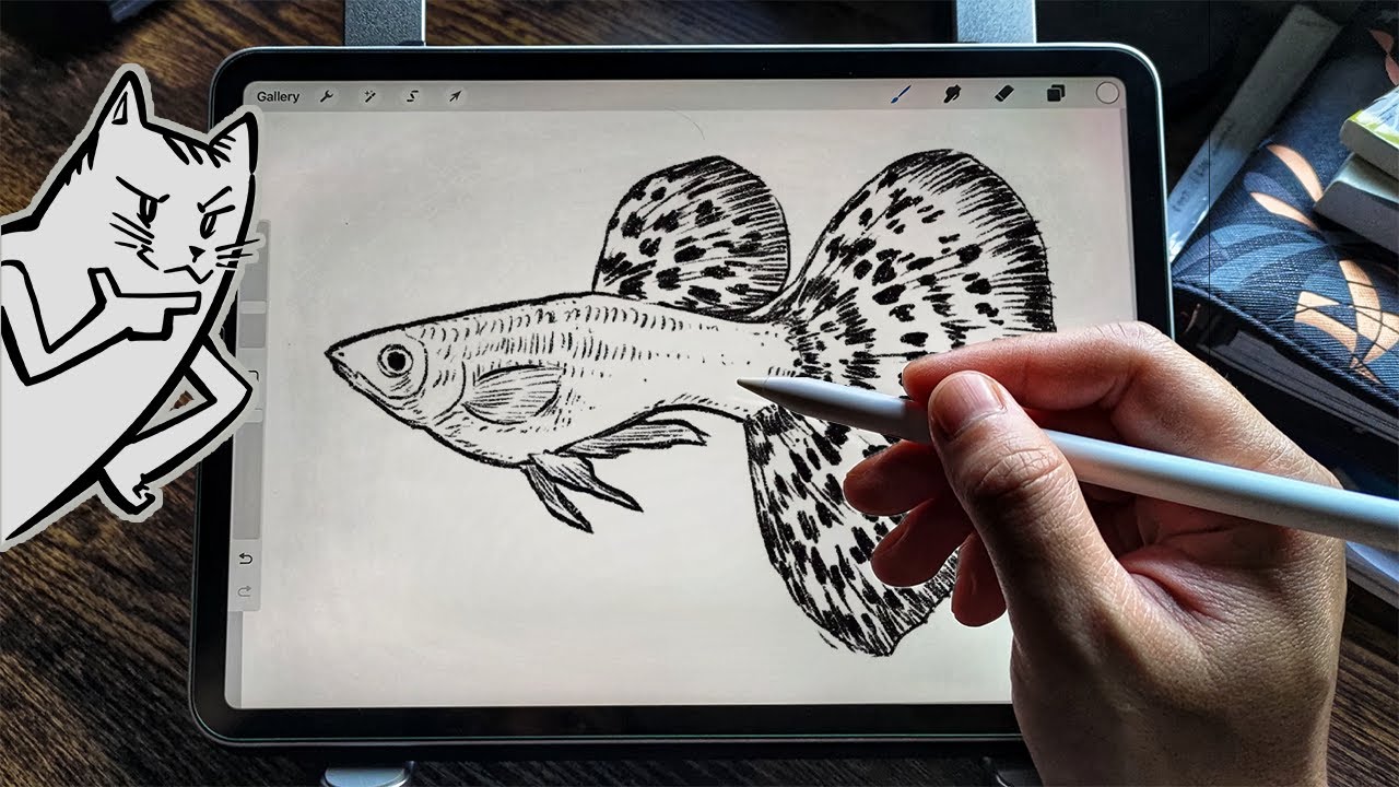 How to draw a guppy 🐟 - YouTube
