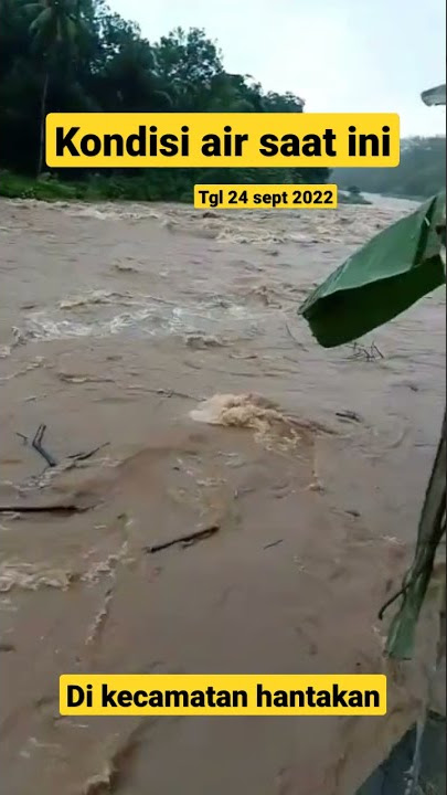 waspada yg ada di kota barabai. #shorts #viralshorts #viral #video
