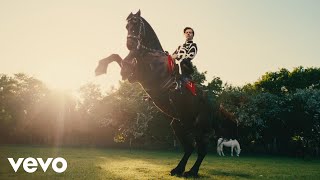 Harry Styles - Daylight (Official Video) image