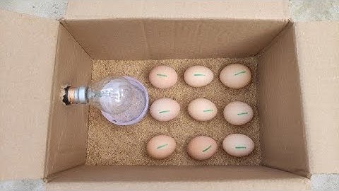 How to make a home incubator at home from a paper box#viral #egg 