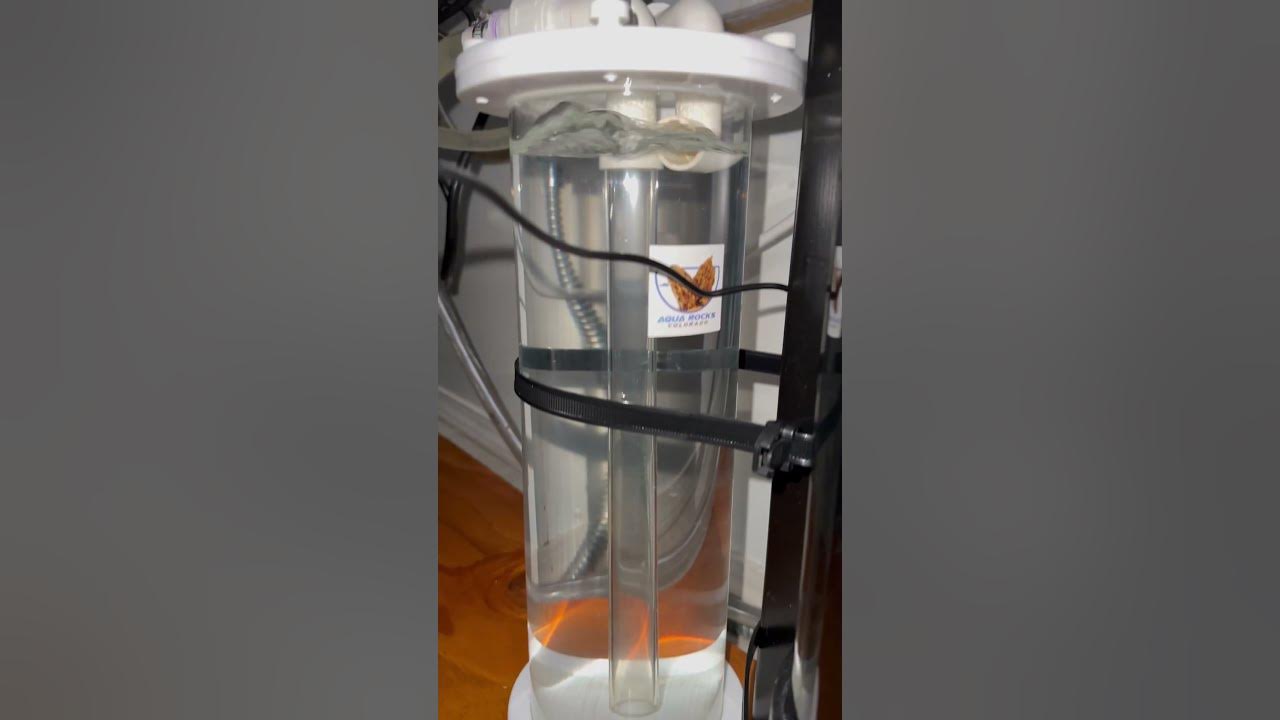 Aqua rocks co2 reactor #aquarium #natureaquarium #fishtank #fishaquarium #aquariumdesign #fish