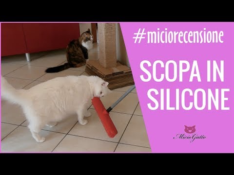 Silicone broom: my review! ✨✨ 