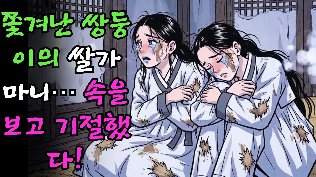 쫓겨난 쌍둥이에게 쌀가마니를 받은 계모… 그 속을 보고 기절초풍했다! |야담 |옛날이야기 |민담 |전설 | 설화 | 오디오북.