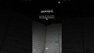 Allah için abone ol