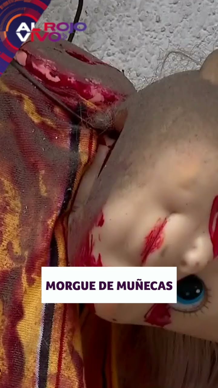 'Morgue de muñecas', santuario de juguetes con historia | ARV