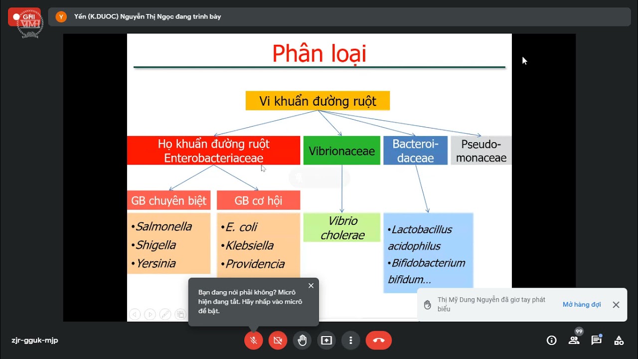 [Vi Sinh Dược] Vi Khuẩn Gây Bệnh