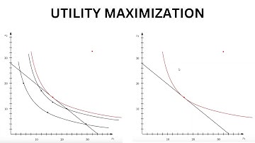 Utility Maximization Explained | Graphical Approach to Consumer Behavior in Microeconomics