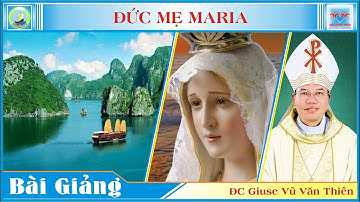 Bài giảng Lễ Chung Về Đức Mẹ - Đức cha Giuse Vũ Văn Thiên