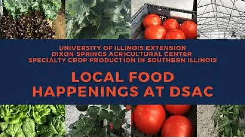 Trellising Tomatoes in High Tunnel Production April 24, 2020: Local Food Happenings at DSAC