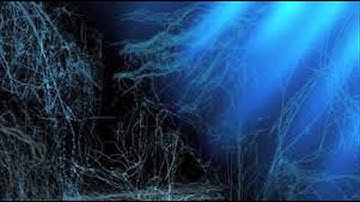 RISE FROM THE DARK full orchestra [complete]