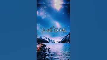 أجمل تلاوة خاشعة بصوت القارئ احمد النفيس راحه نفسيه ما شاء 💙💭🌴