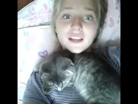Моя киска😽😻 - YouTube
