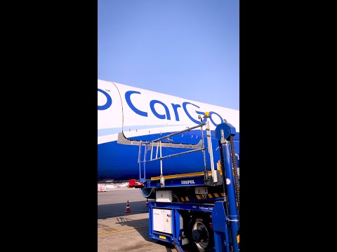 CarGo | Freighter