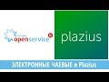 Как работают электронные чаевые в Plazius?