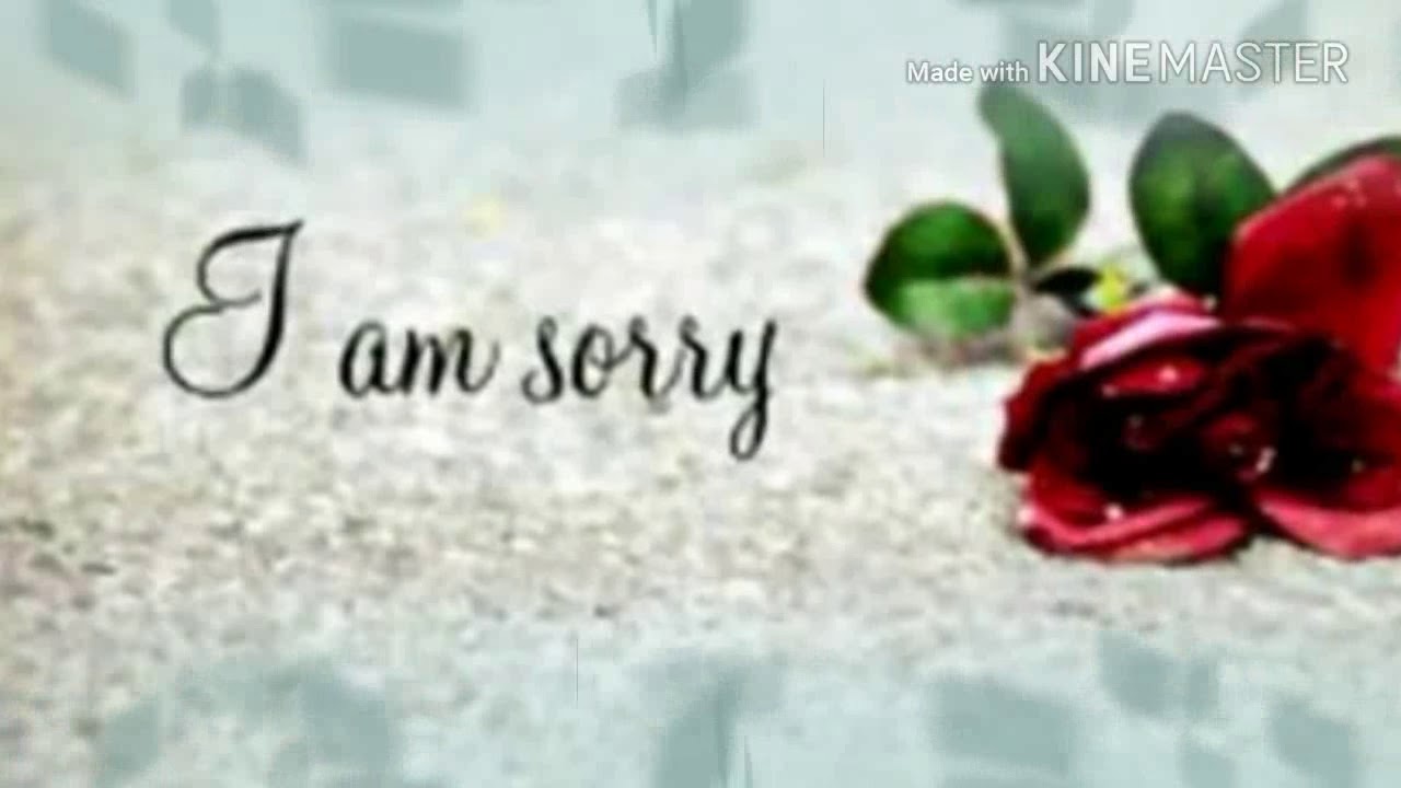 Sorry song whatsapp status YouTube