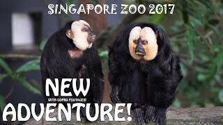 SINGAPORE ZOO 2017