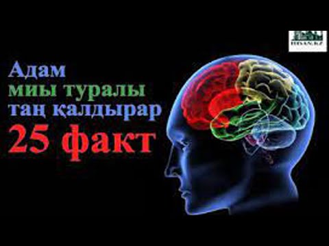 Бейне: Ми шайқалу белгілері қанша уақытқа созылады?