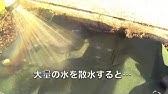 戸別回収向けカラスよけネット マルソルオンラインショップ Youtube
