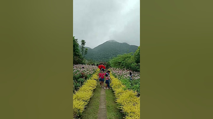 Heavens Peak,Ormoc
