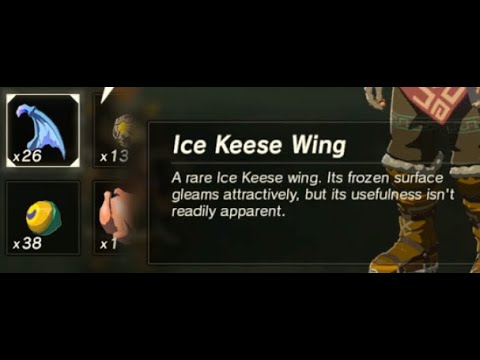 Ice Keese Wing | Farming Location | Zelda BOTW