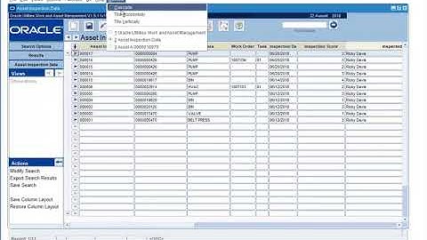 How to View Condition Assessment Records in ORACLE WAM
